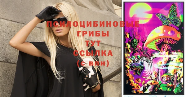 прущий лед Горняк