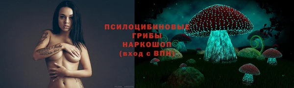 мяу мяу мука Горно-Алтайск