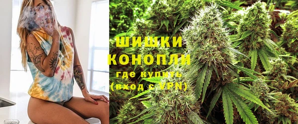 мяу мяу мука Горно-Алтайск