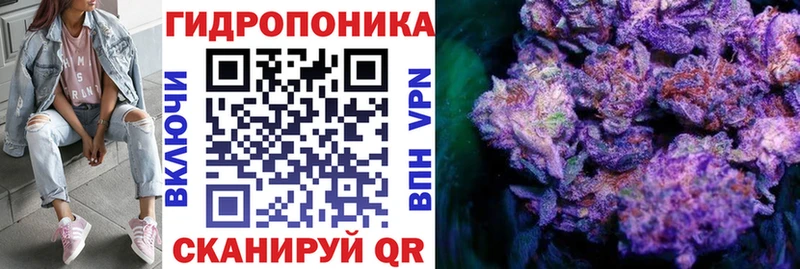 Бошки марихуана Ganja  Купить где  Холм 